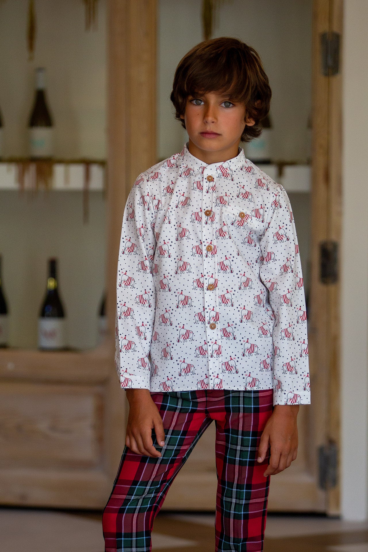 CAMISA ELEFANTES