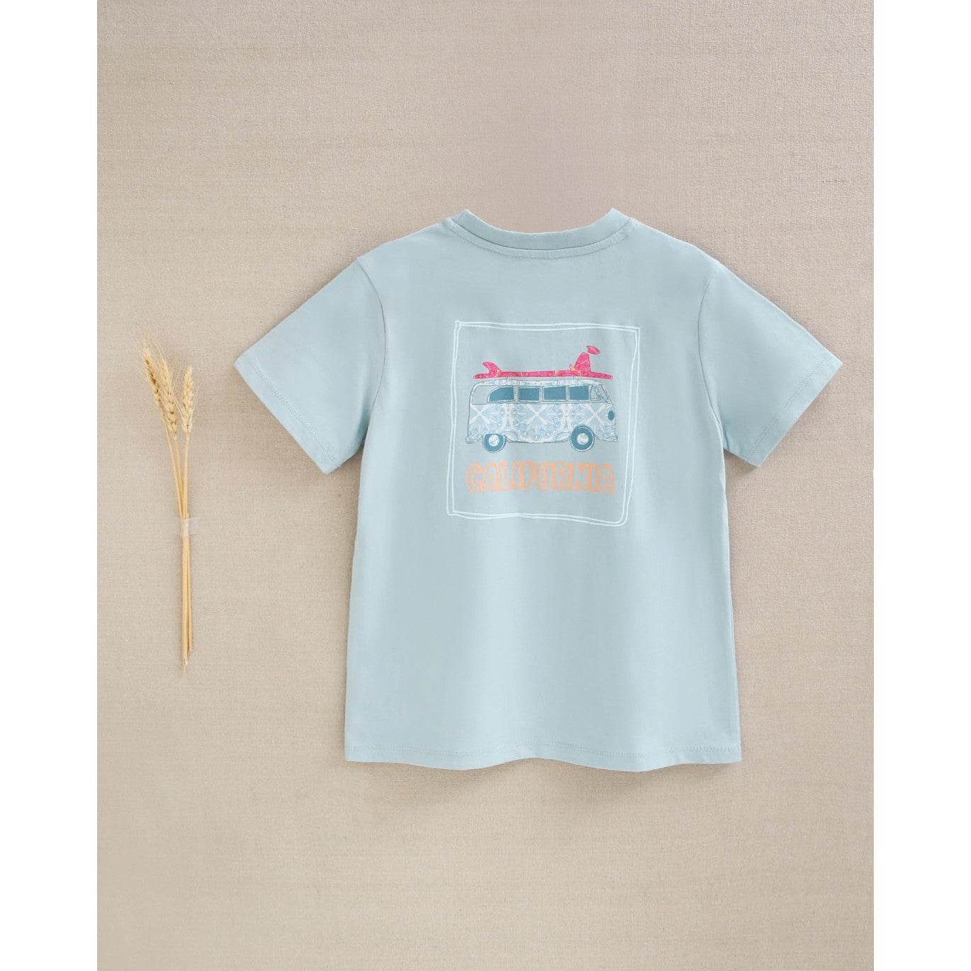 CAMISETA VAN AZUL