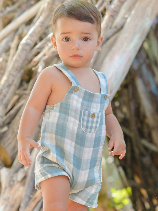 PETO CUADROS  SURF VAN