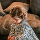 JESUSITO ANIMAL PRINT