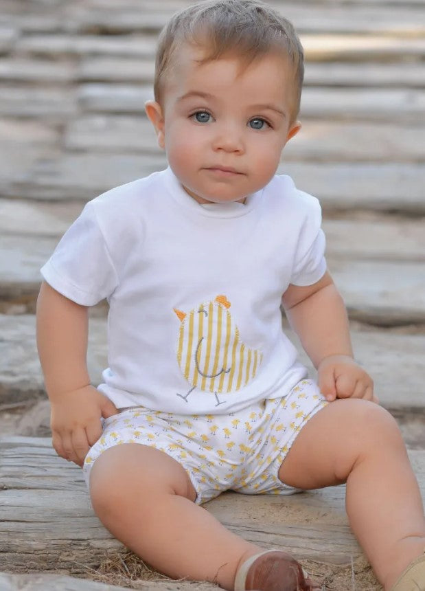 CONJUNTO POLLITOS NIÑO